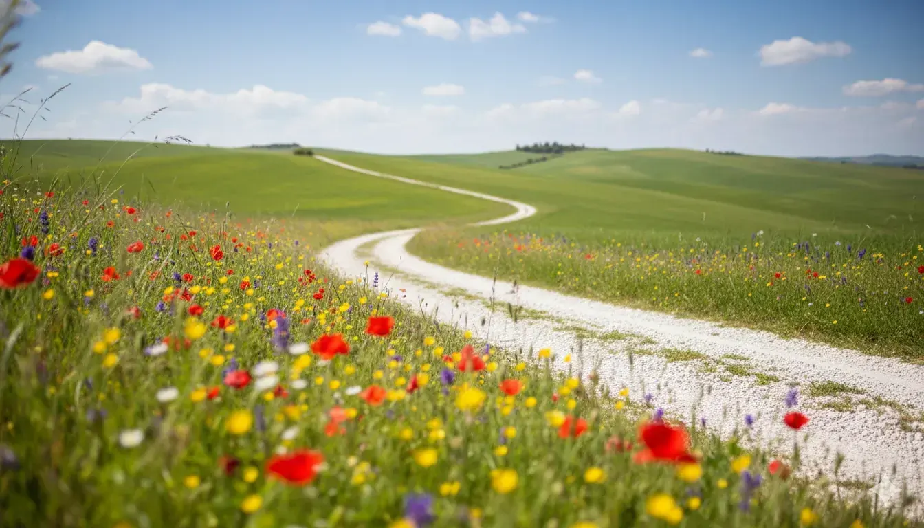 Scorcio suggestivo del territorio