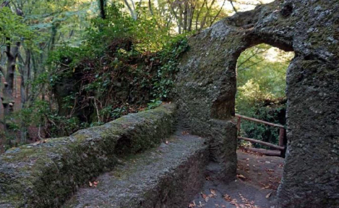 Monte Fogliano -Sant'Angelo Vetralla