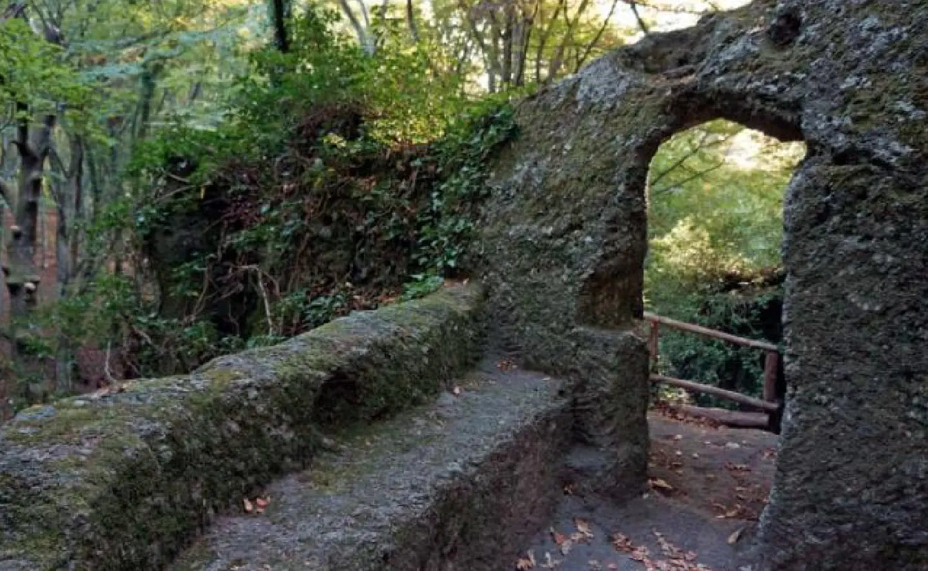 Monte Fogliano -Sant'Angelo Vetralla
