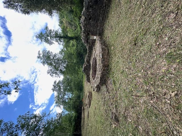 Scavo Archeologico delle Allumiere di Monteleo