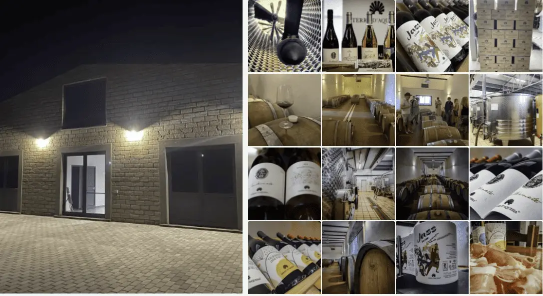 Cantina Terre d'Aquesia