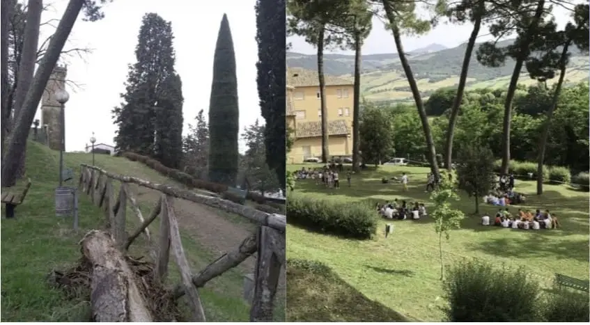 Parco Pineta
